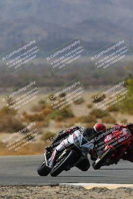 media/Apr-10-2022-SoCal Trackdays (Sun) [[f104b12566]]/Turn 5 Tree of Life (1040am)/